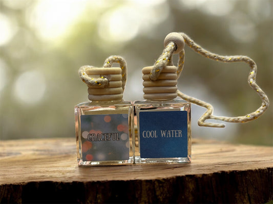 Summer Era Hanging Car Diffuser